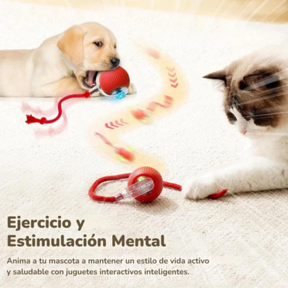 Motion Ball Pro™ para Mascotas