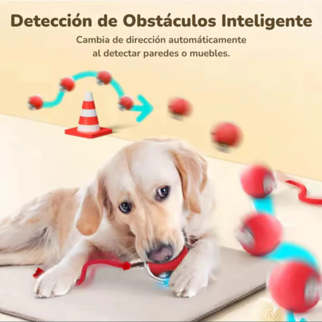 Motion Ball Pro™ para Mascotas